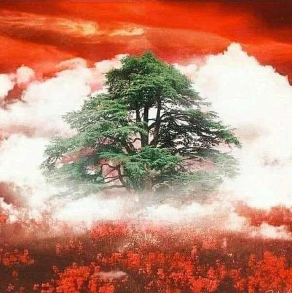 لبنان: مفوض الأمم المتحدة السامي لشؤون اللاجئين يطلق نداءً عاجلاً لدعم الإنسانية ووقف العنف